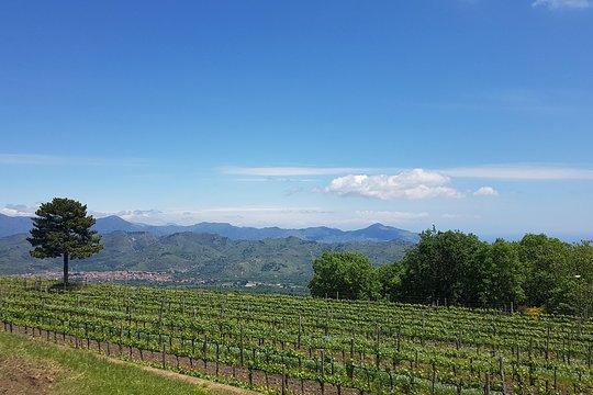 Tour image 2