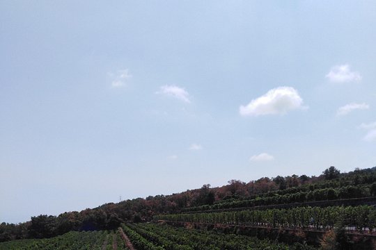 Tour image 8