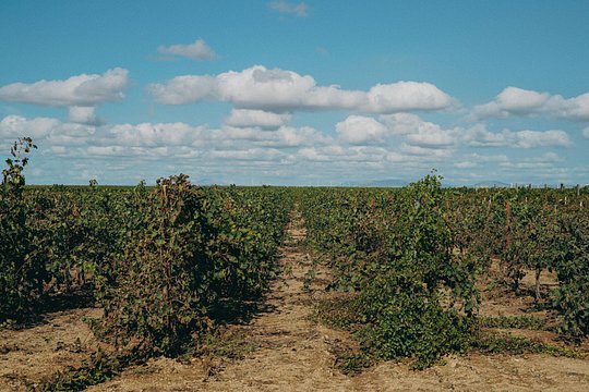Tour image 8